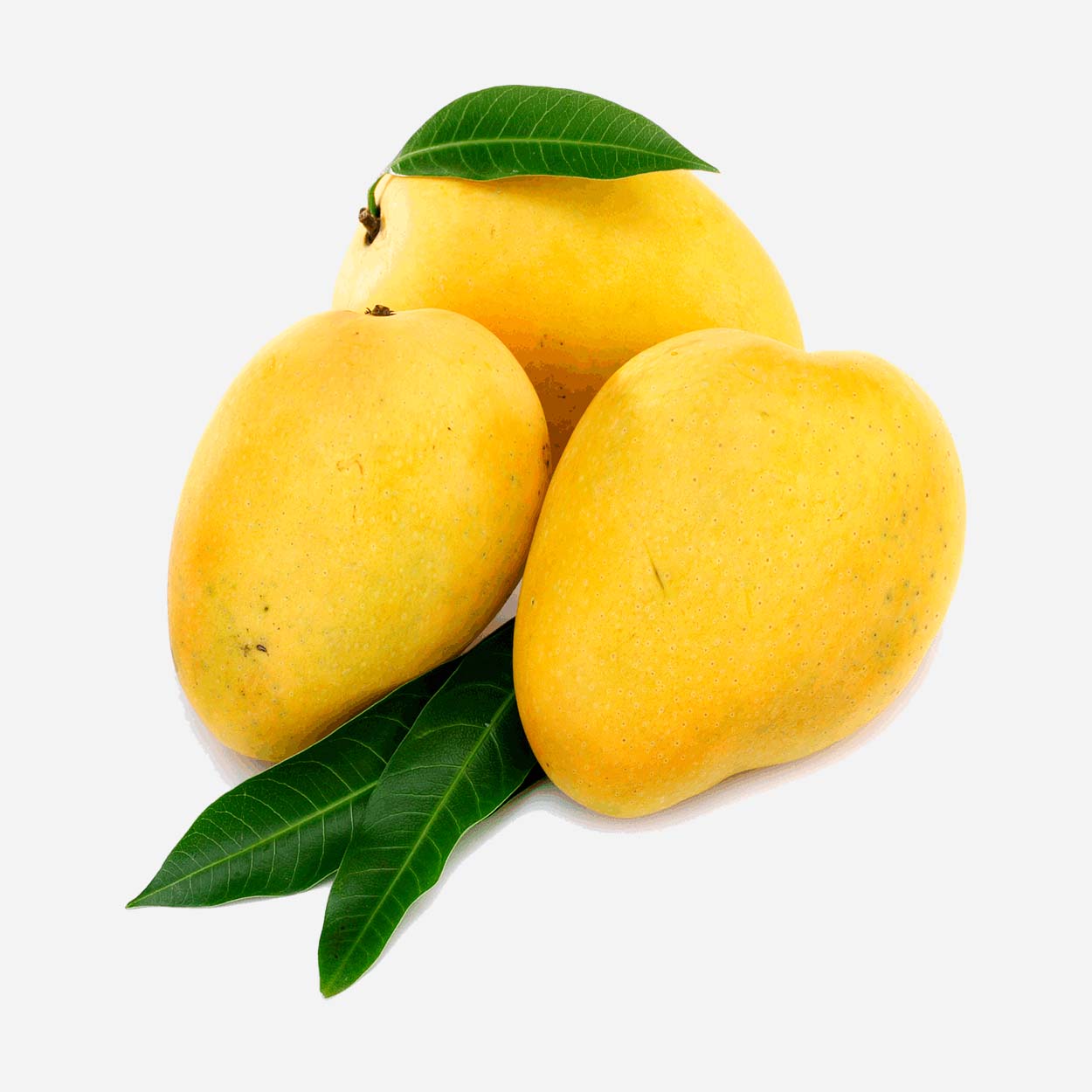 Mango Organic Fruit - Image 4