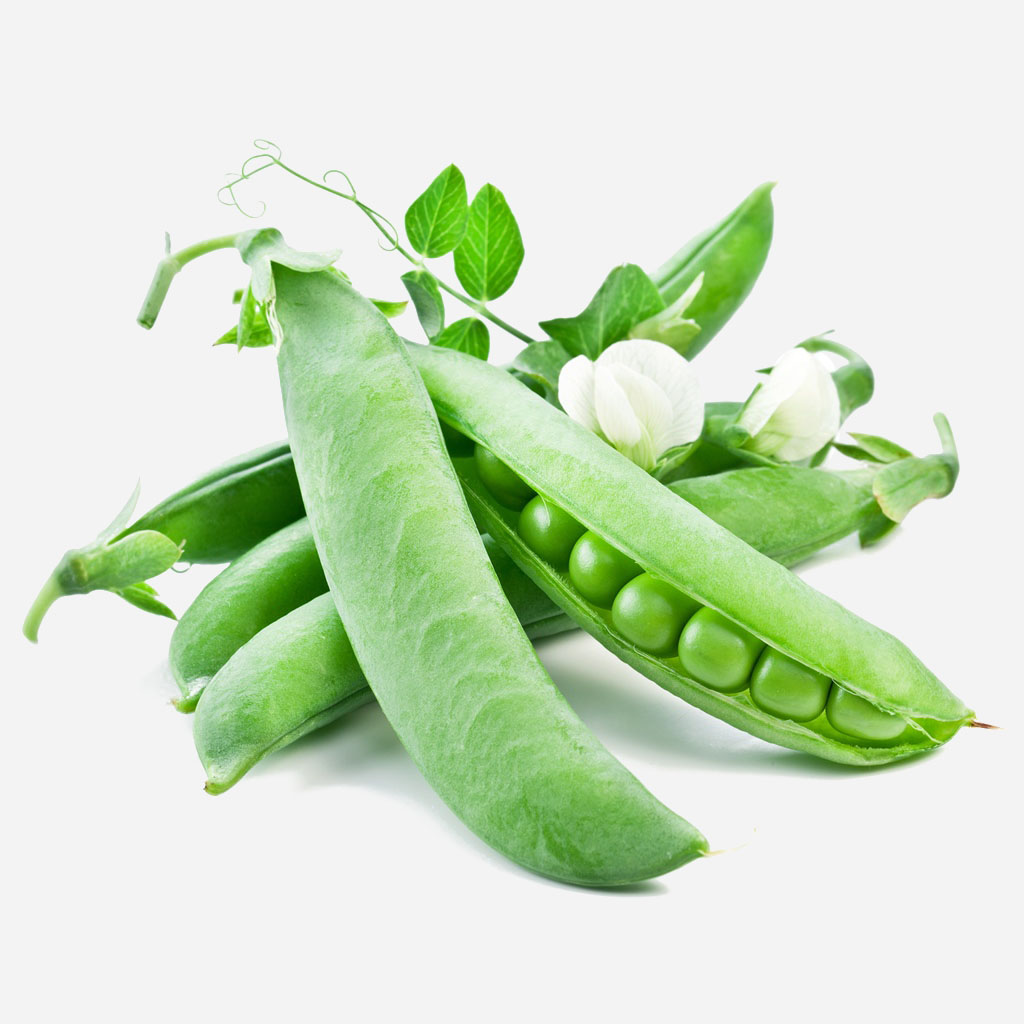 Chickpea Vegetable Legume Peas - Image 3