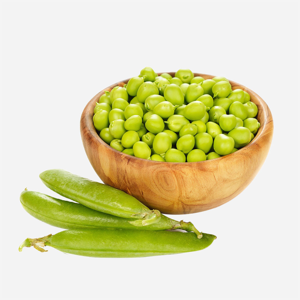 Chickpea Vegetable Legume Peas - Image 2