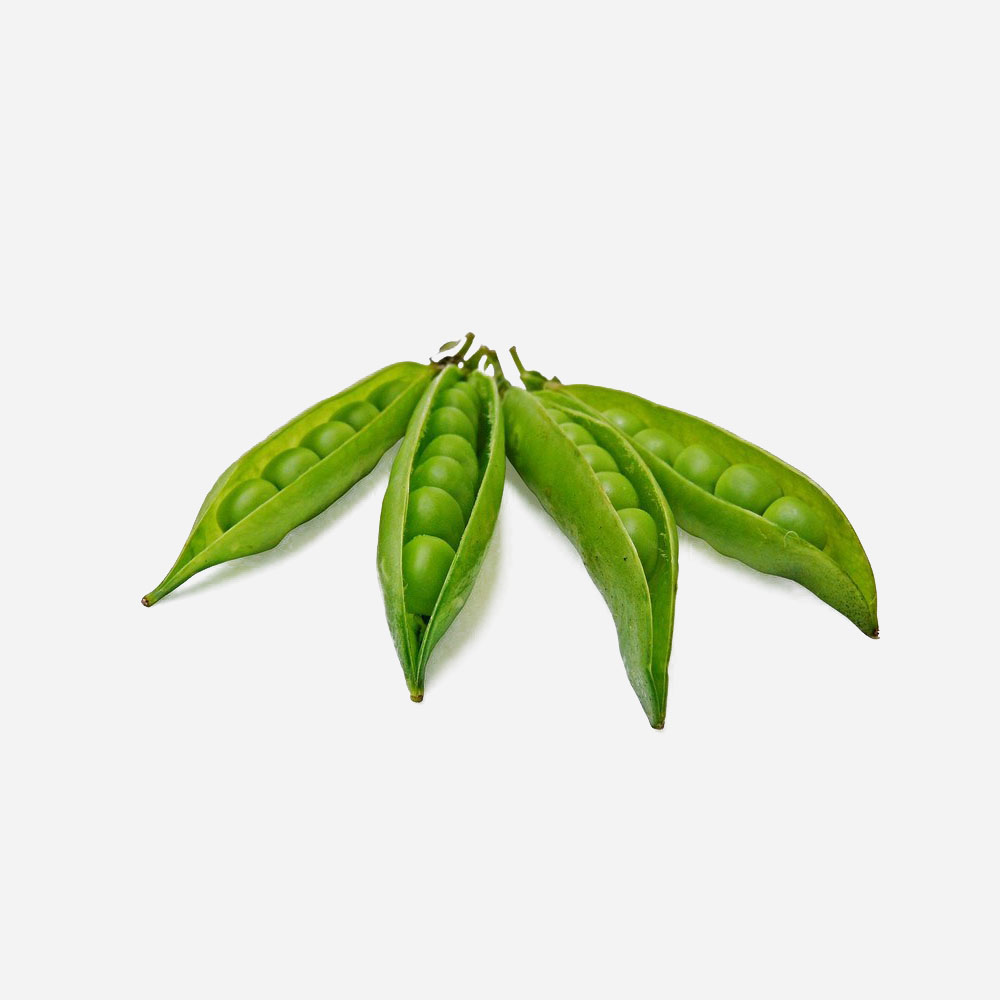 Chickpea Vegetable Legume Peas - Image 4